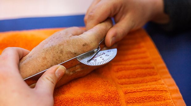 Praxis für Ergotherapie Christiane Rothe - Praxis Berlin Wilmersdorf Beweglichkeit Hände